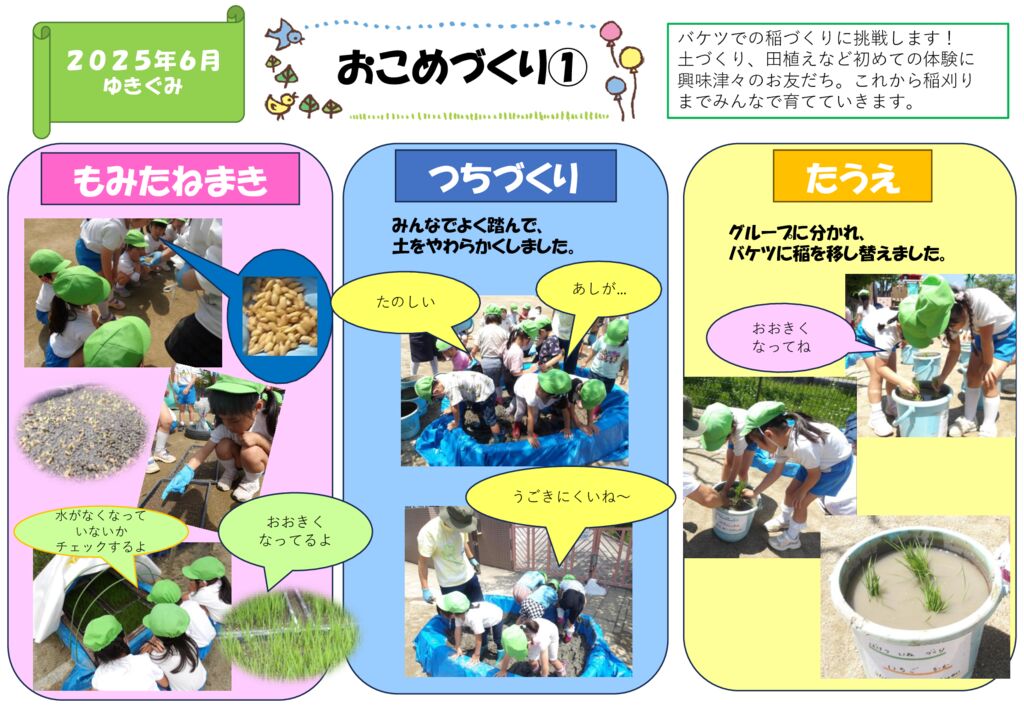 おこめづくり①（ゆきぐみ）