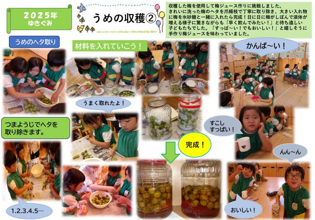 うめの収穫②（ゆきぐみ）